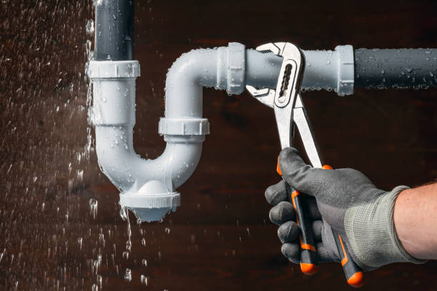 Professional Plumbing technician working in Newhall, IA